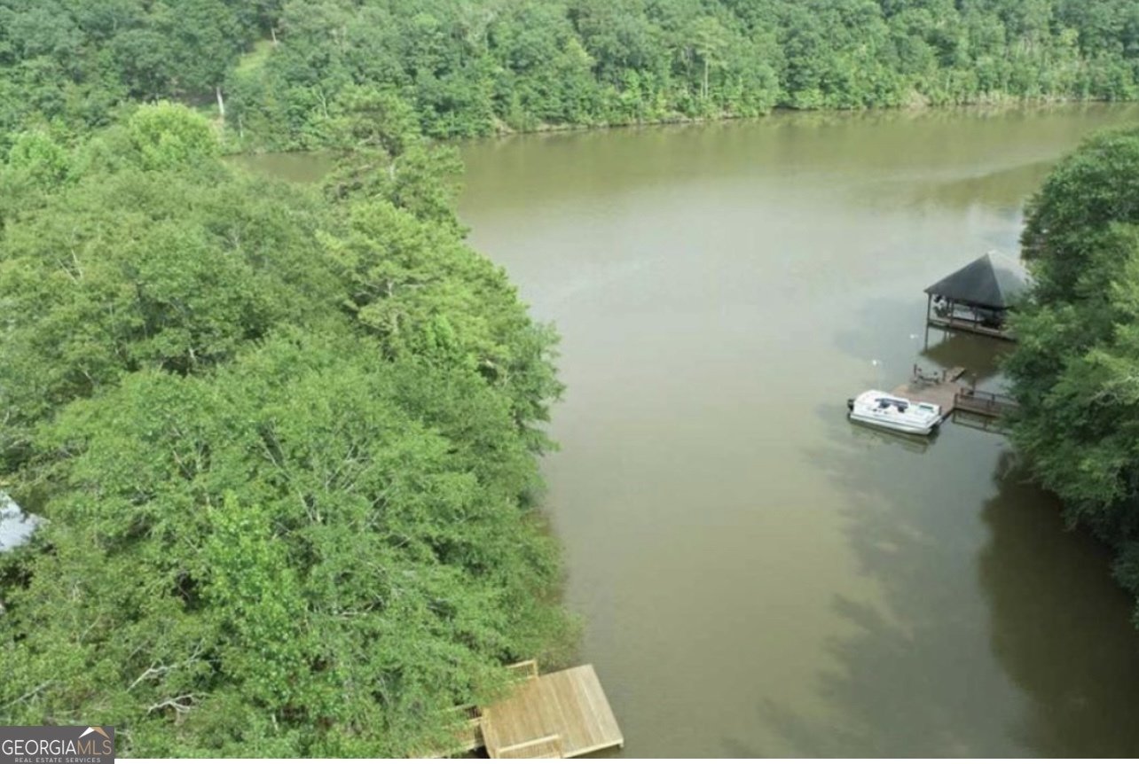 222 Cedar Valley Drive Wedowee - Photo 13