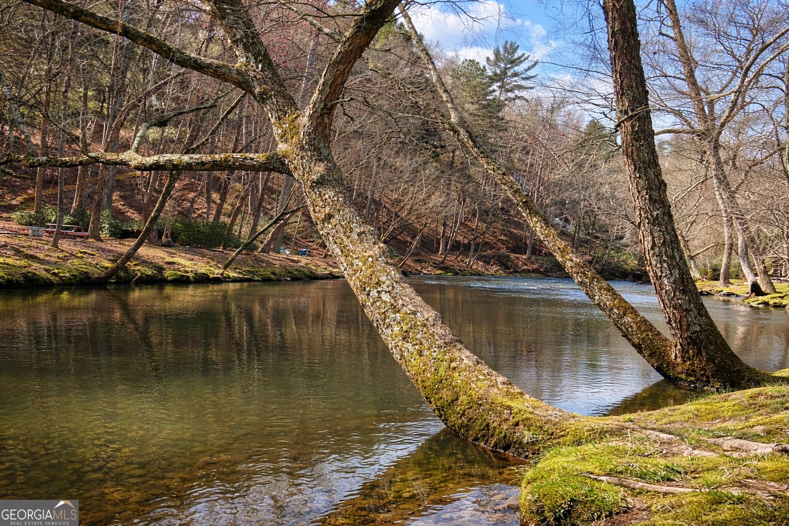 105 Riveredge Drive Ellijay - Photo 6