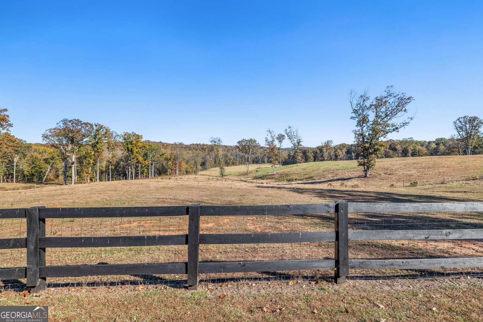 167 McCoy Bridge Road Homer - Photo 43