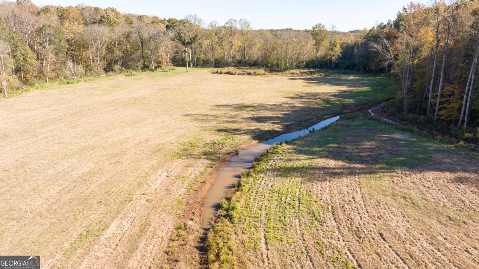 167 McCoy Bridge Road Homer - Photo 63