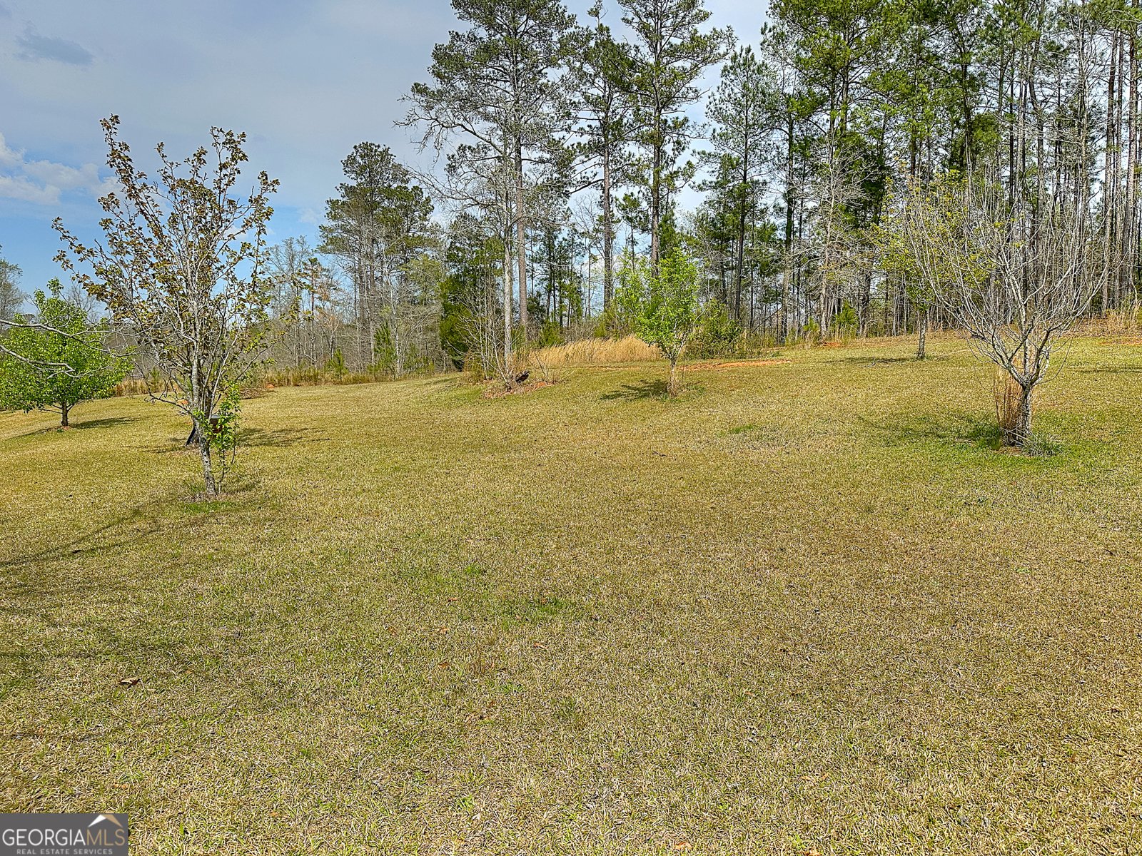 4642 New Franklin Road Hogansville - Photo 54