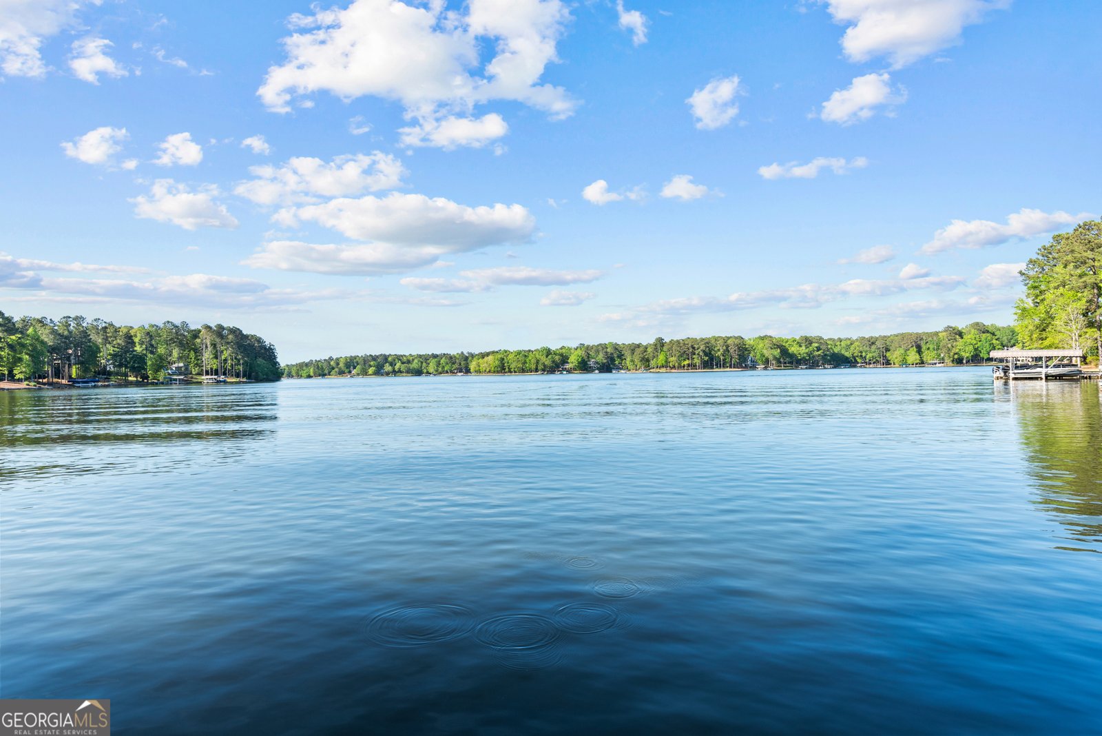 1230 Lake Club Drive Greensboro - Photo 63