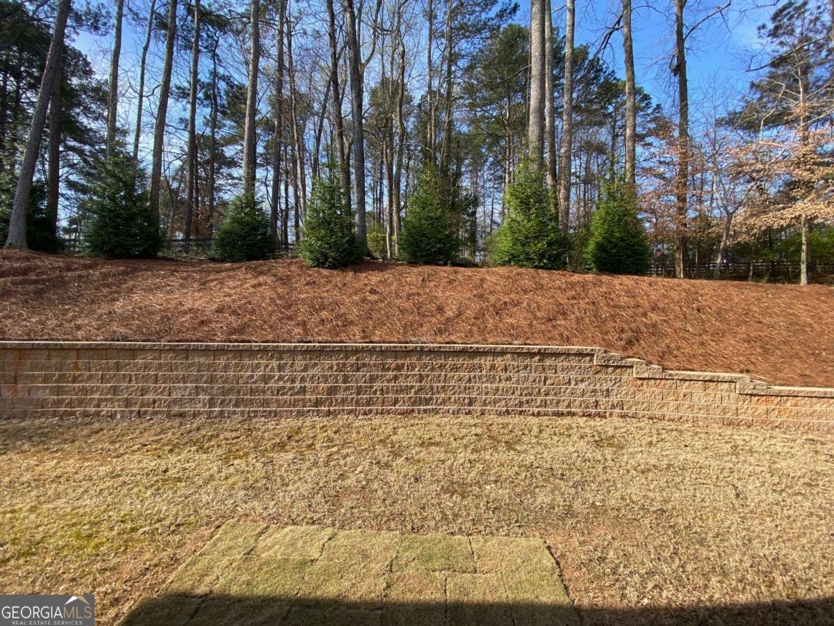 142 Grandmar Chase Canton - Photo 63