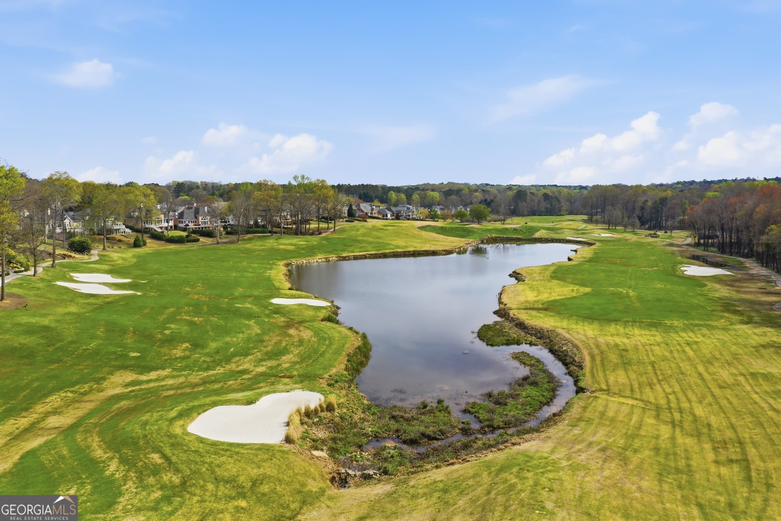 170 Glen Eagle Way McDonough - Photo 78