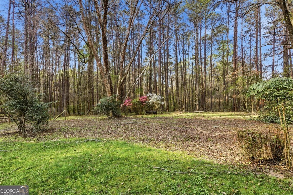 3197 Spring Lake Drive Conyers - Photo 38