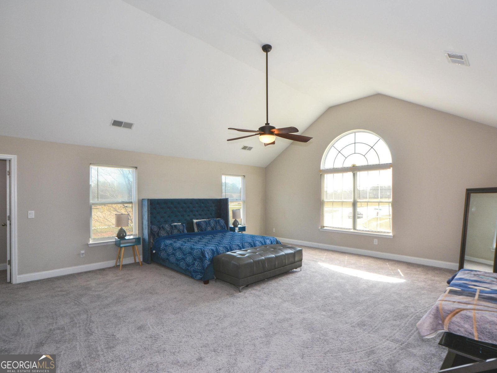 100 TAPESTRY Drive McDonough - Photo 19