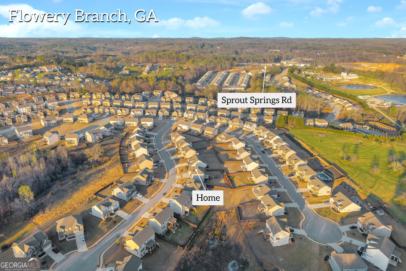 7129 Birch View Court Flowery Branch - Photo 60