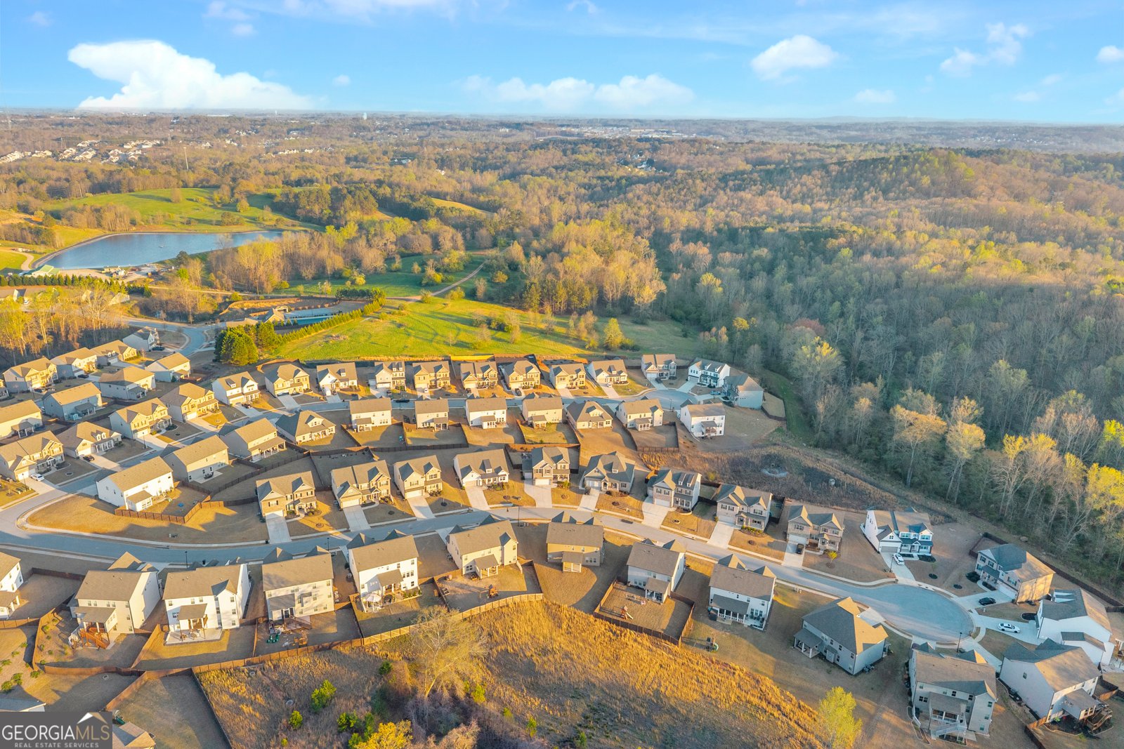 7129 Birch View Court Flowery Branch - Photo 63