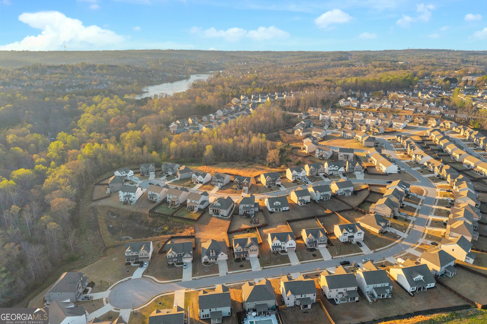 7129 Birch View Court Flowery Branch - Photo 64
