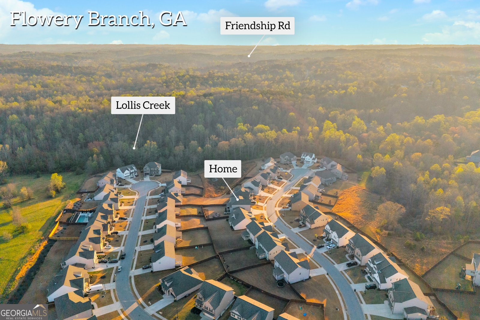 7129 Birch View Court Flowery Branch - Photo 66