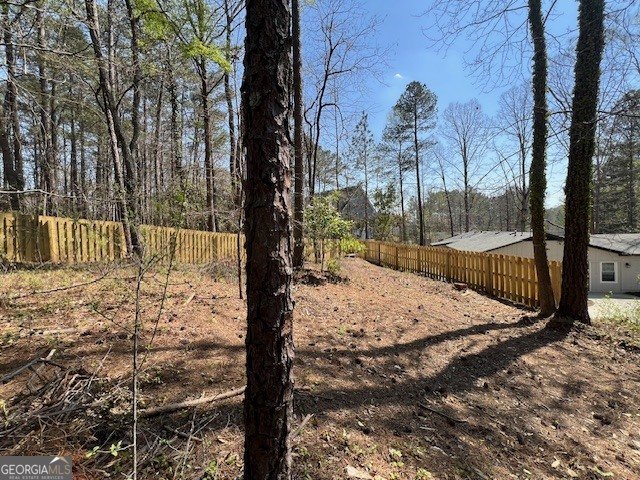 3766 Salem Trail Lithonia - Photo 69