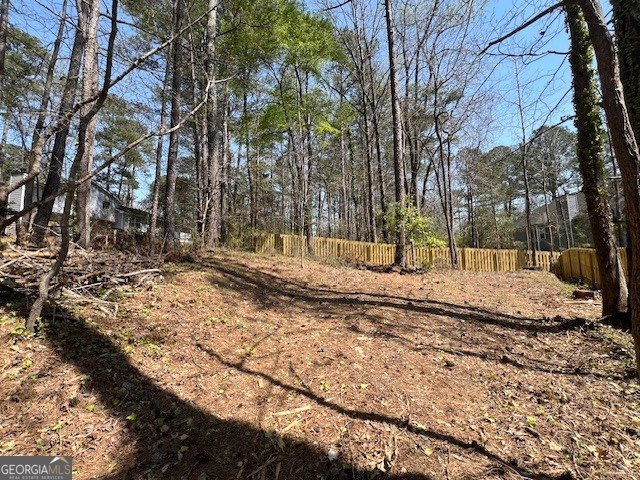 3766 Salem Trail Lithonia - Photo 70