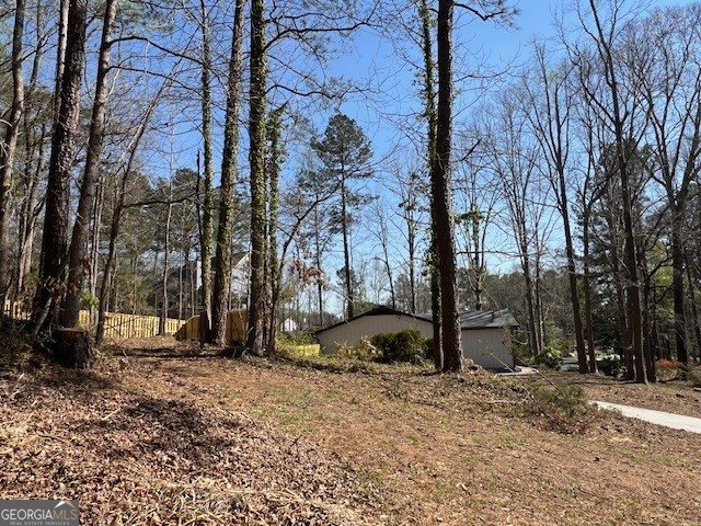 3766 Salem Trail Lithonia - Photo 79