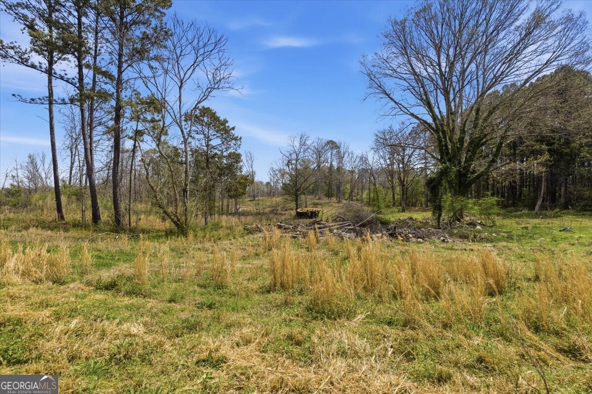 495 Lees Lake Road Fayetteville - Photo 40