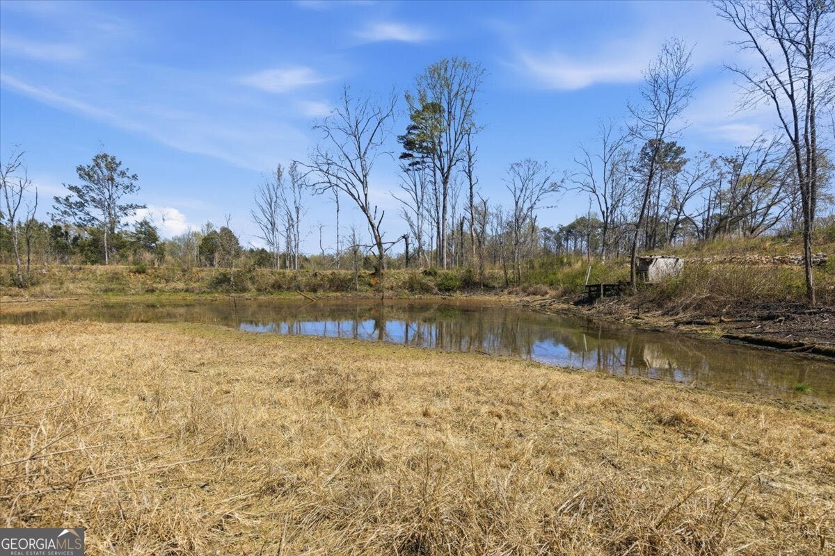 495 Lees Lake Road Fayetteville - Photo 45