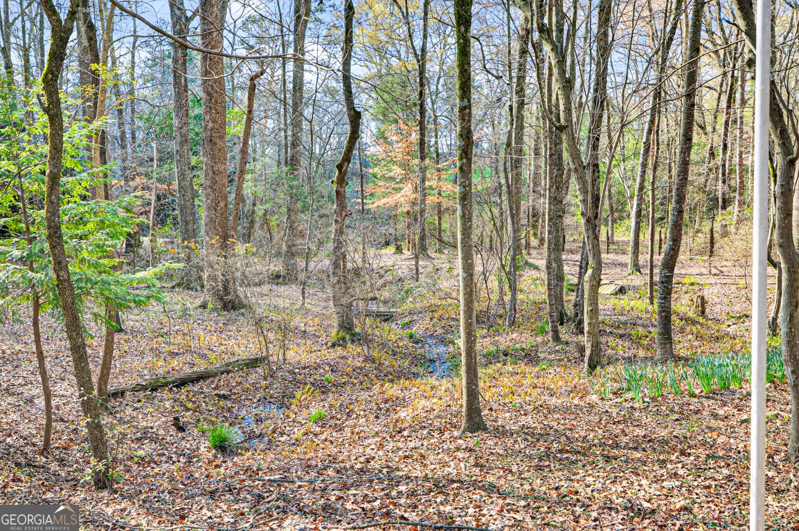 1003 Andover Drive Hoschton - Photo 66