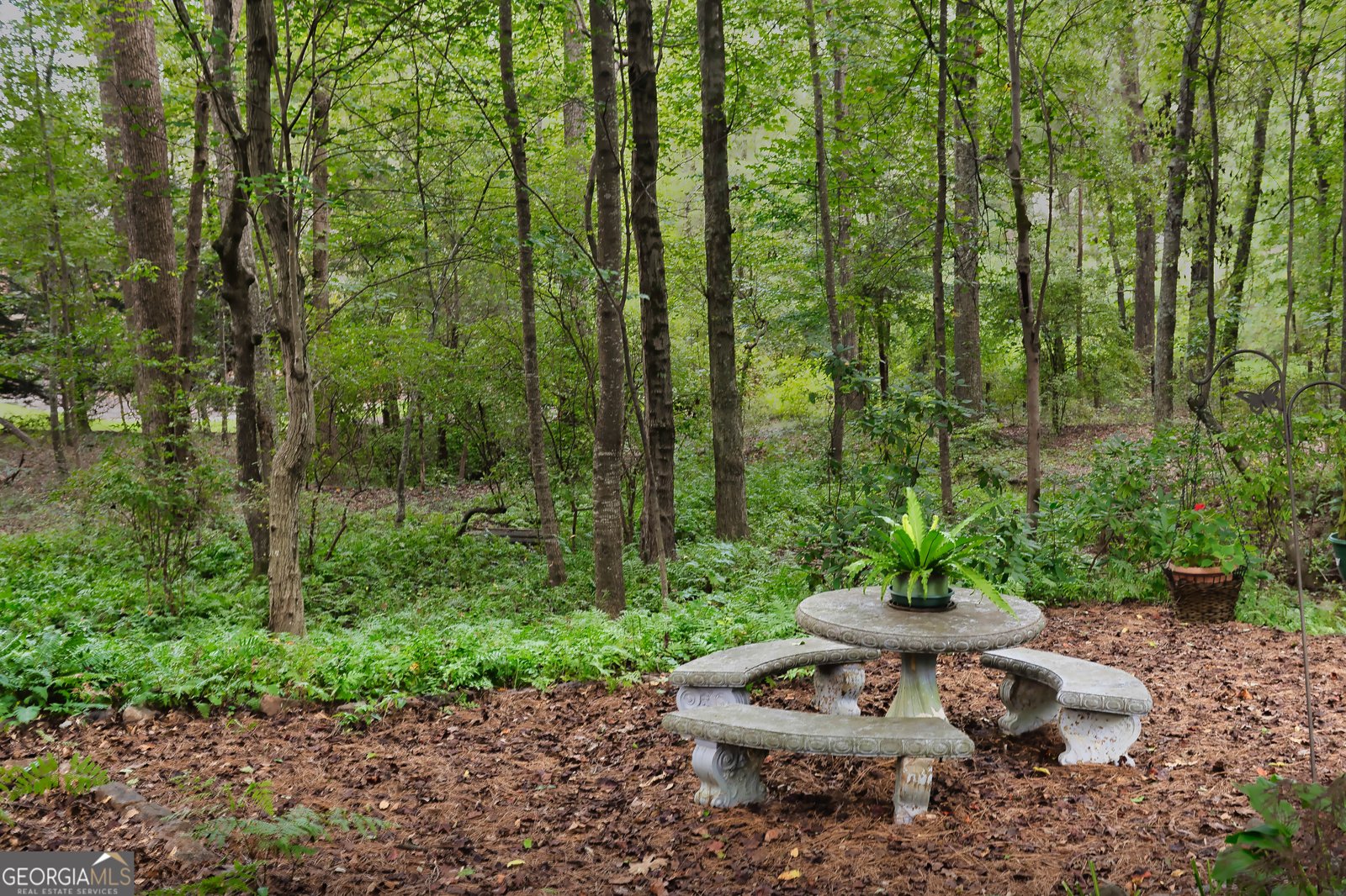 1003 Andover Drive Hoschton - Photo 68