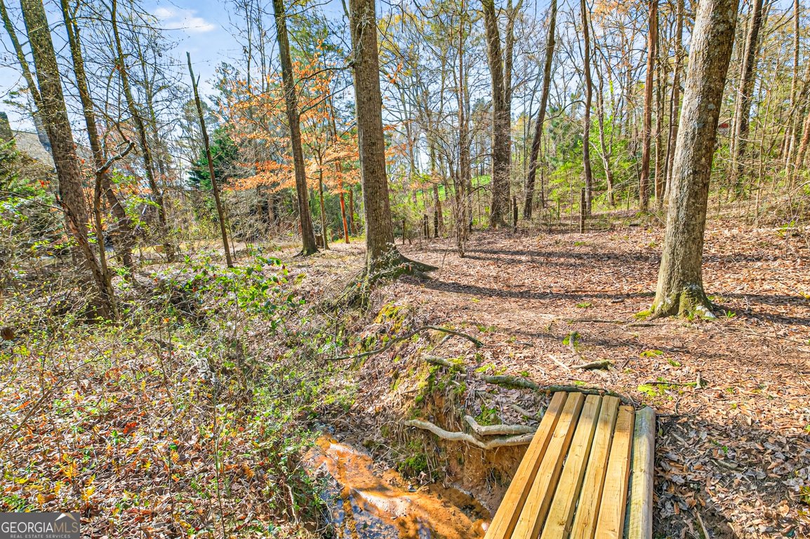 1003 Andover Drive Hoschton - Photo 69