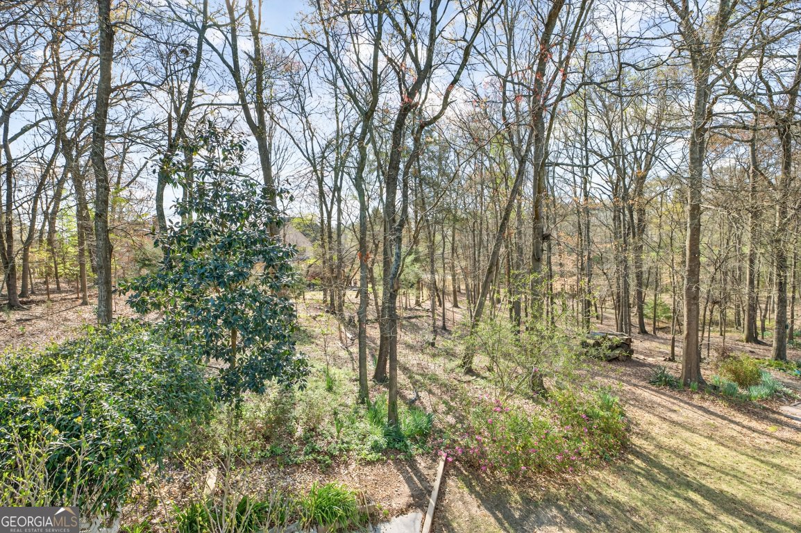 1003 Andover Drive Hoschton - Photo 75