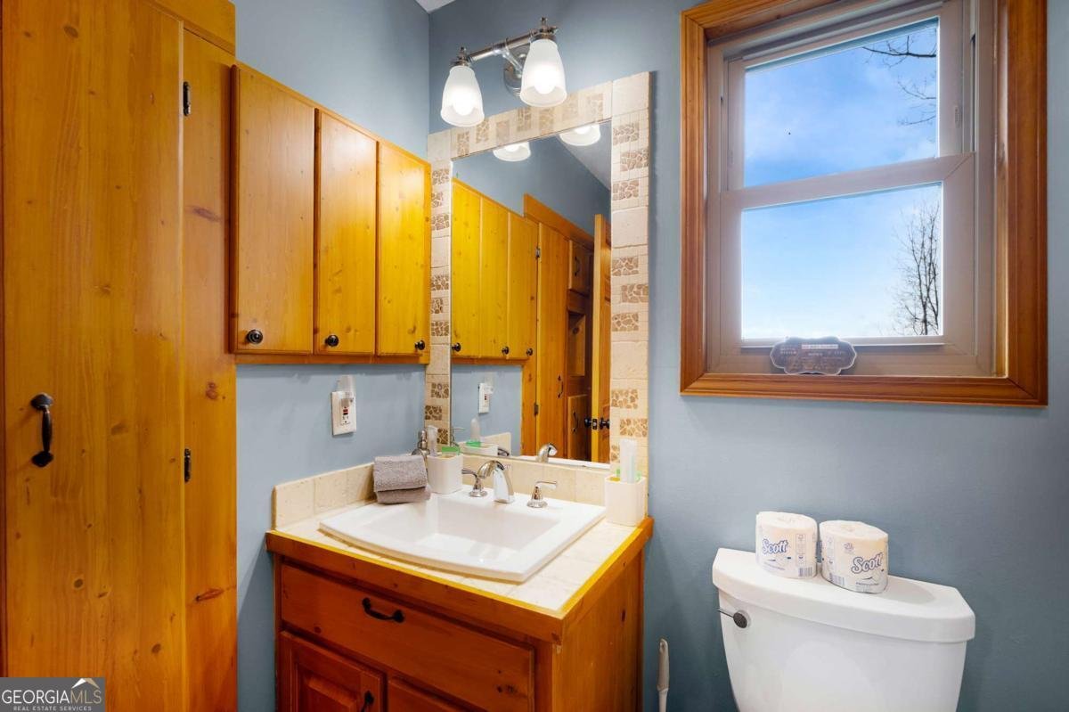 170 Walnut Ridge Ellijay - Photo 37