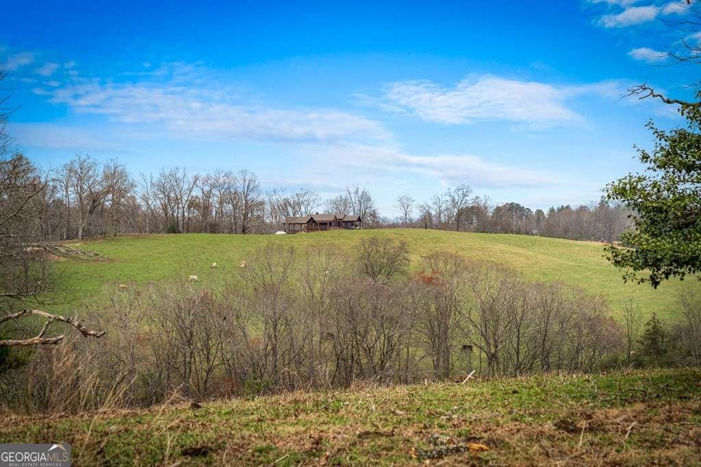 416 Windy Valley Trail Blue Ridge - Photo 46