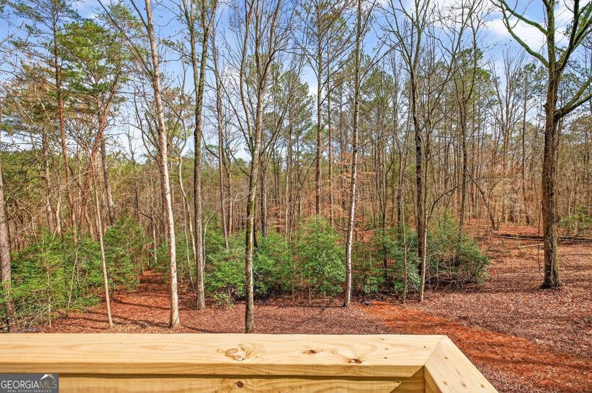 3110 Flatbottom Road Ball Ground - Photo 64