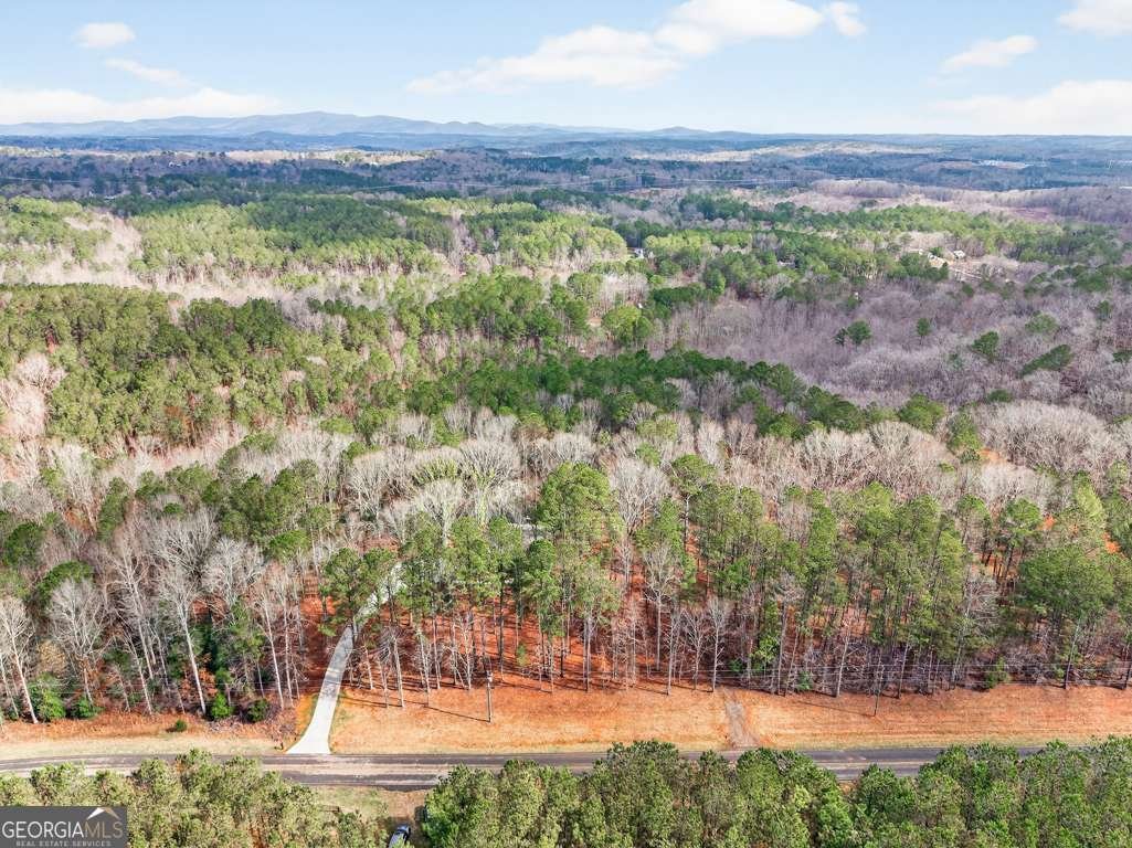 3110 Flatbottom Road Ball Ground - Photo 72