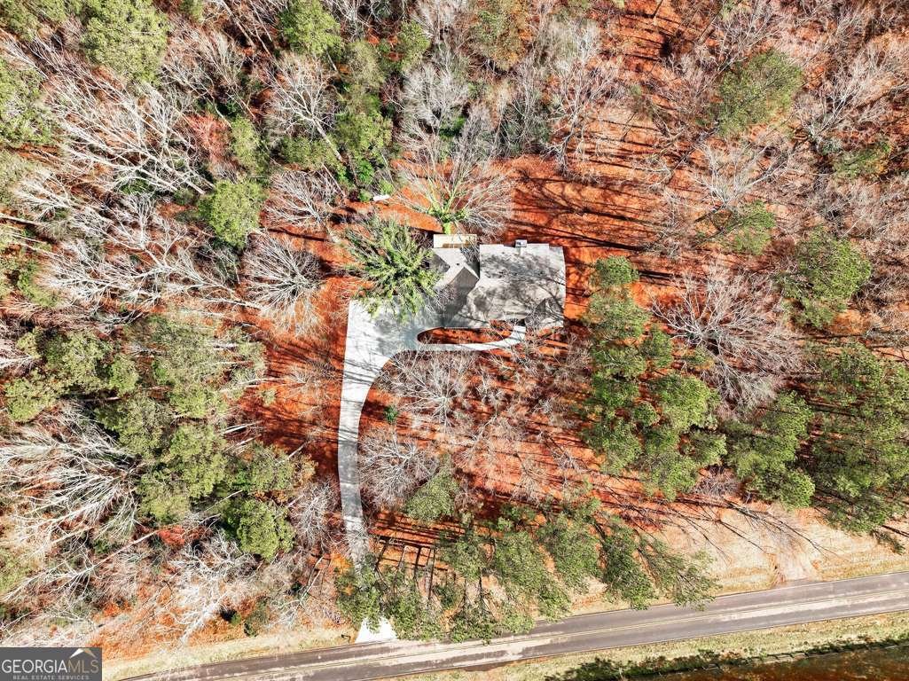 3110 Flatbottom Road Ball Ground - Photo 73