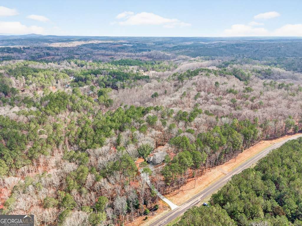 3110 Flatbottom Road Ball Ground - Photo 75