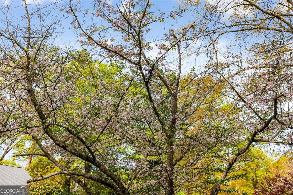 3824 Overlook Avenue Macon - Photo 11