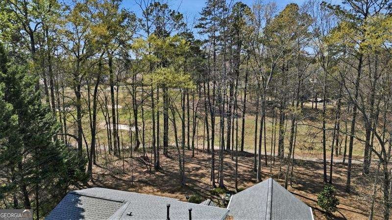 4026 Hickory Fairway Drive Woodstock - Photo 56