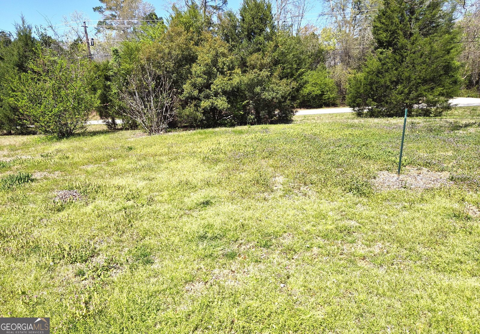 12122 Warm Springs Road Ellerslie - Photo 16