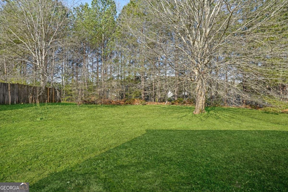 4741 Bob White Run Lithonia - Photo 26