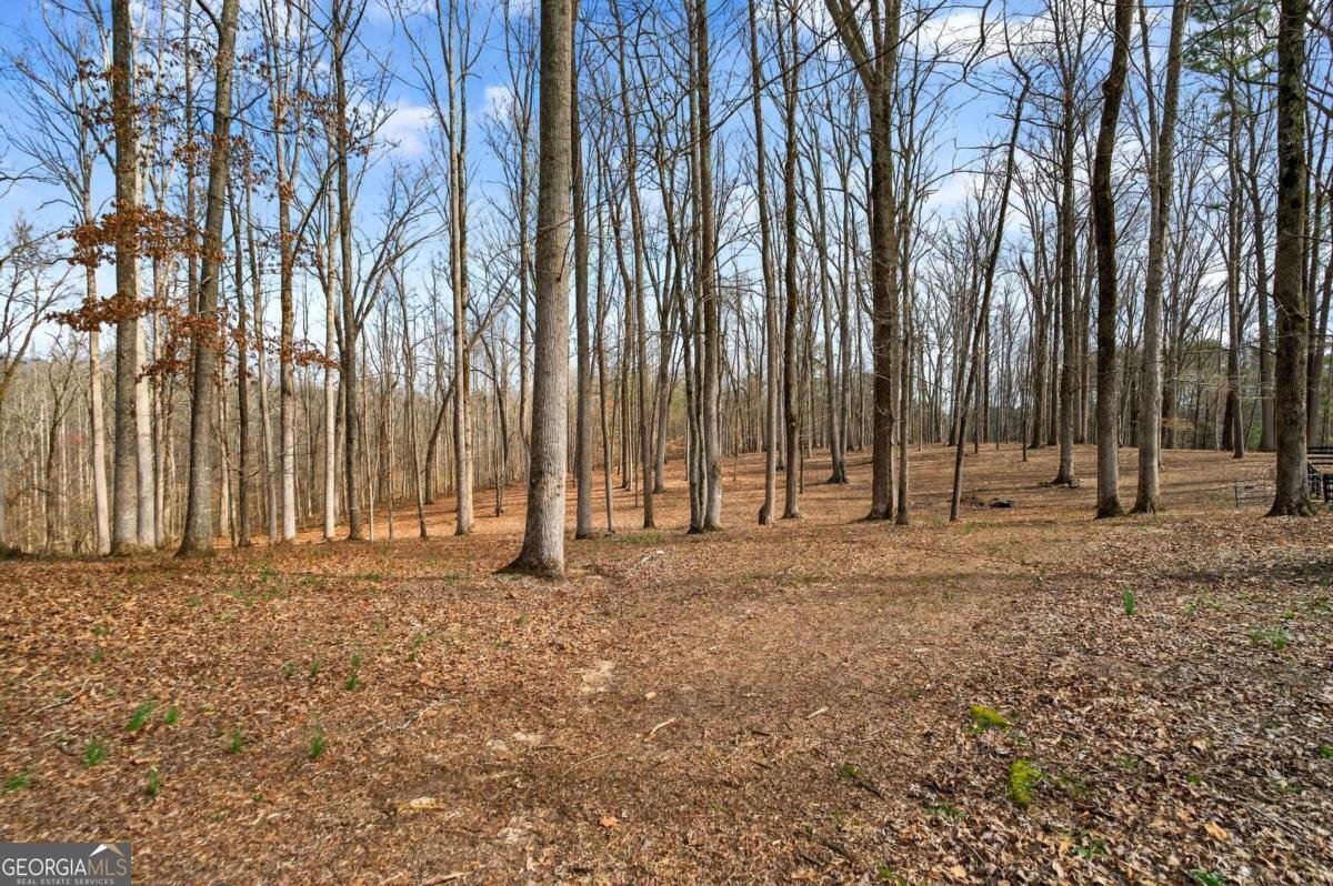 18568 Birmingham Highway Alpharetta - Photo 75