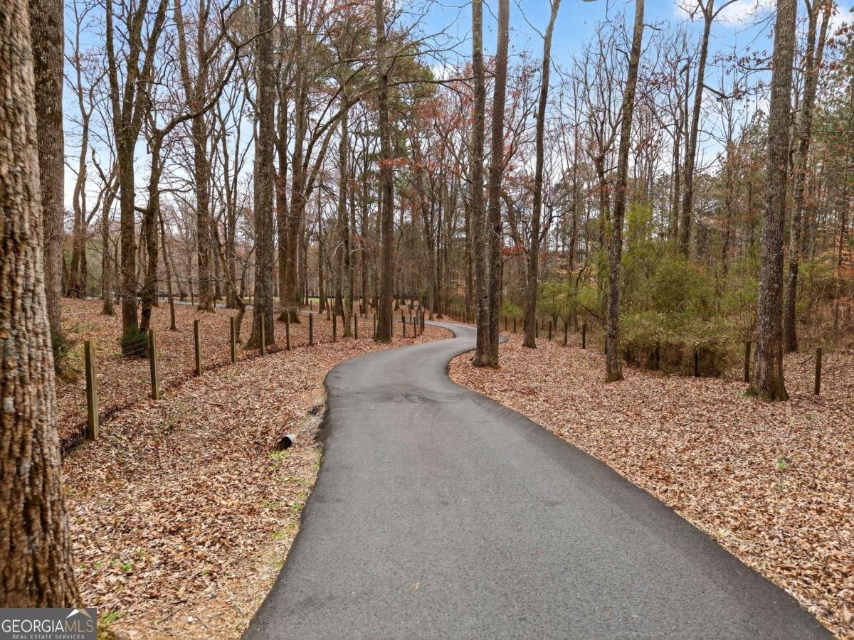 18568 Birmingham Highway Alpharetta - Photo 76