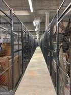 3630 Peachtree Road Atlanta - Photo 40