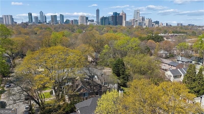 556 Greenwood Avenue Atlanta - Photo 47