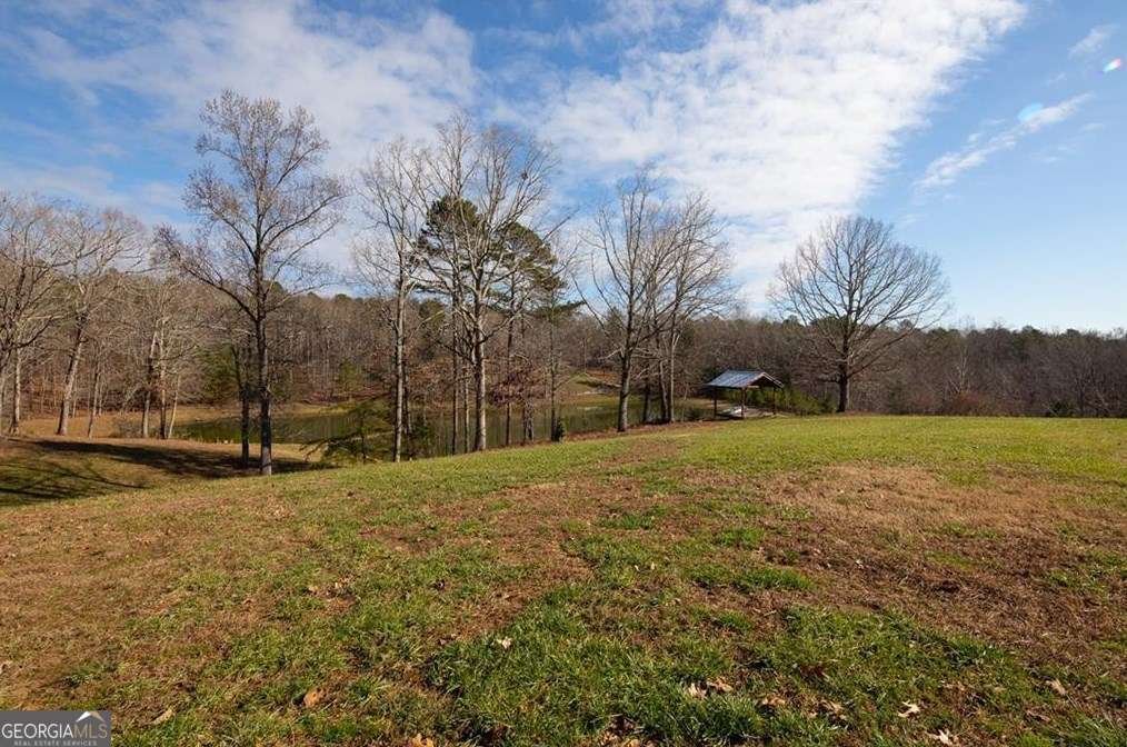 1249 Little Mountain Road Dawsonville - Photo 53