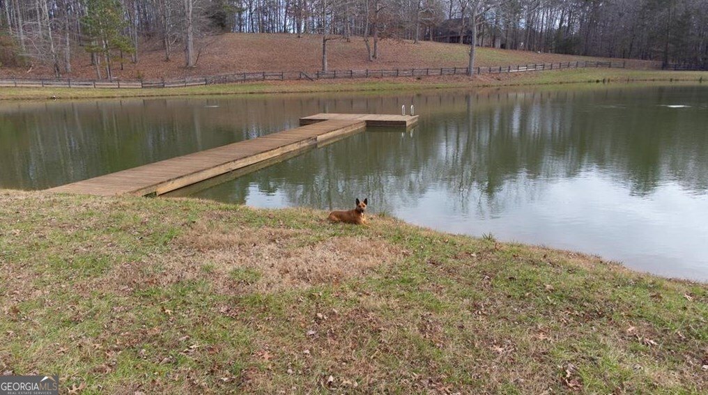 1249 Little Mountain Road Dawsonville - Photo 55