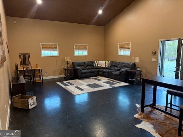 1249 Little Mountain Road Dawsonville - Photo 58