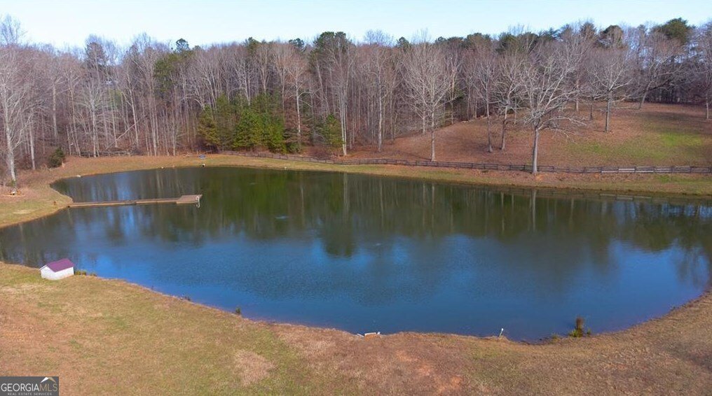 1249 Little Mountain Road Dawsonville - Photo 60