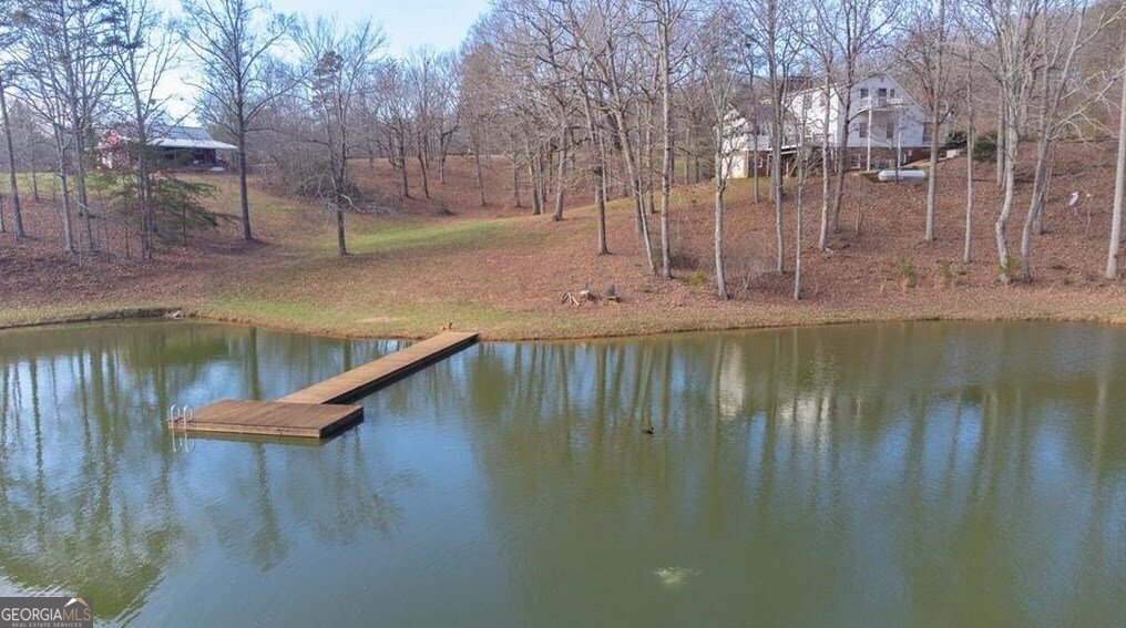 1249 Little Mountain Road Dawsonville - Photo 61