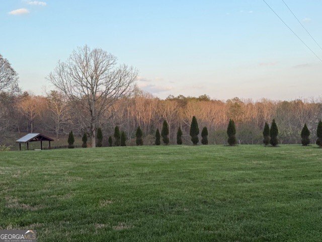 1249 Little Mountain Road Dawsonville - Photo 62