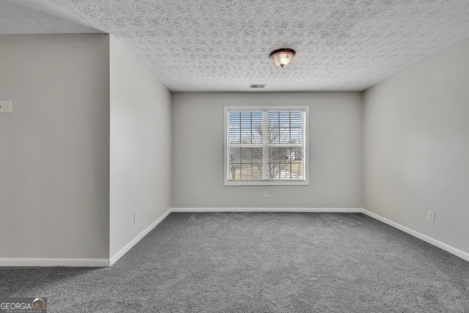 4316 Abram Drive Conley - Photo 35