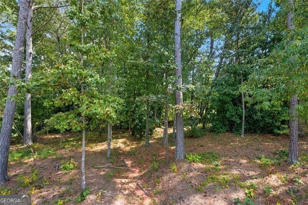 522 Eagles Nest Circle Auburn - Photo 45