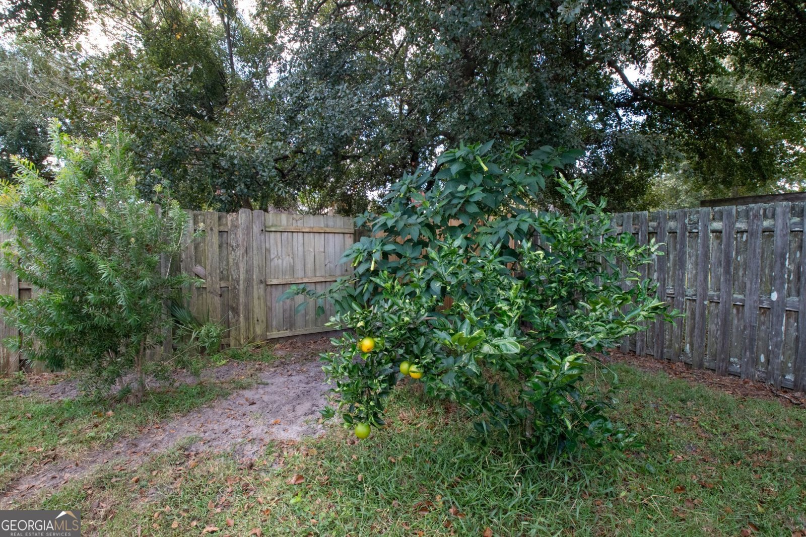 208 McQueen Circle St. Marys - Photo 6