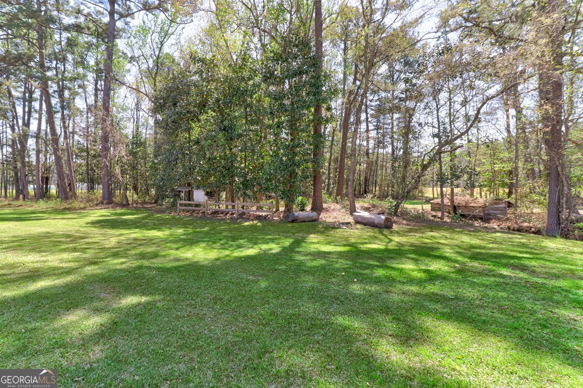 3064 Little McCall Road Rincon - Photo 64