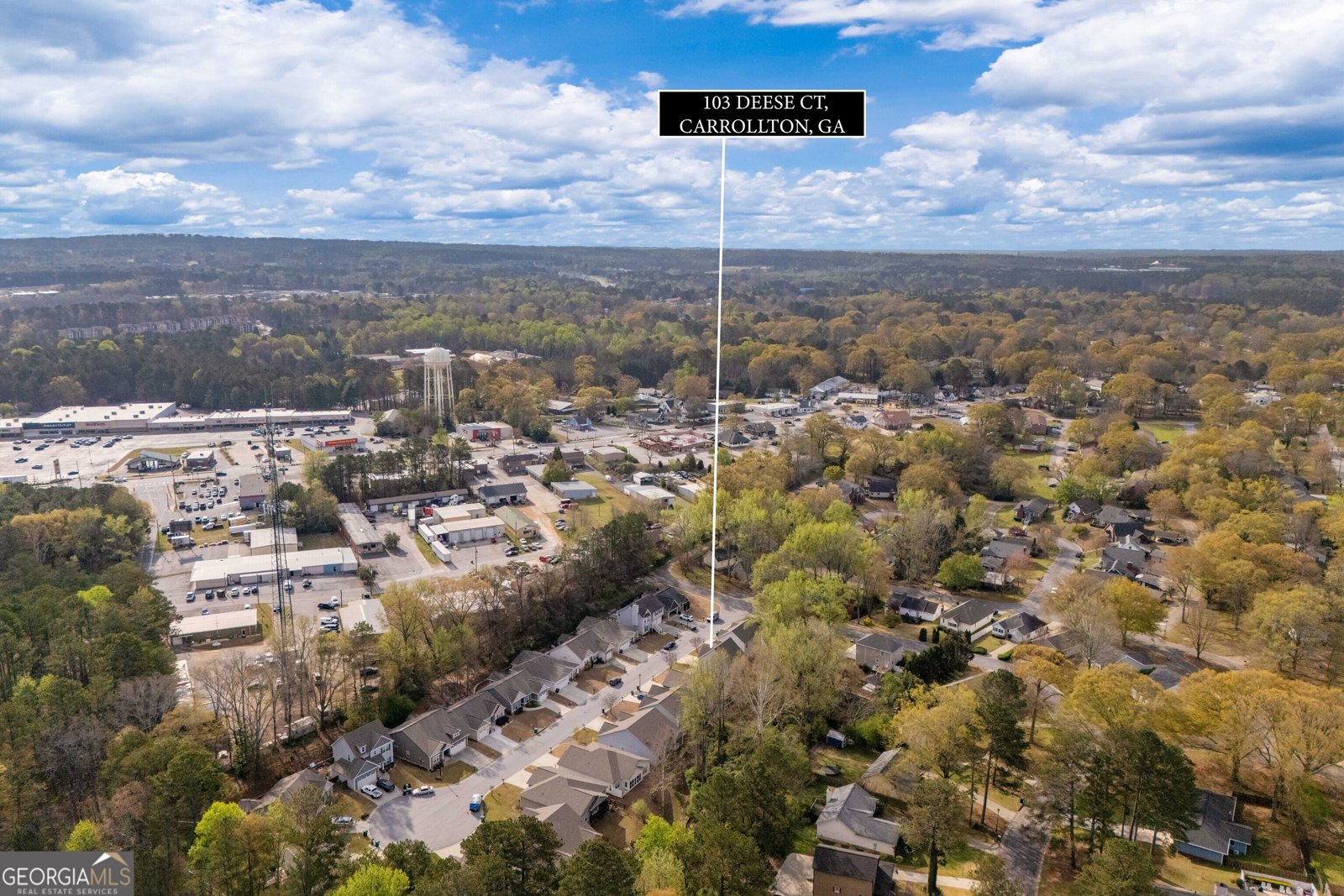 103 Deese Court Carrollton - Photo 33