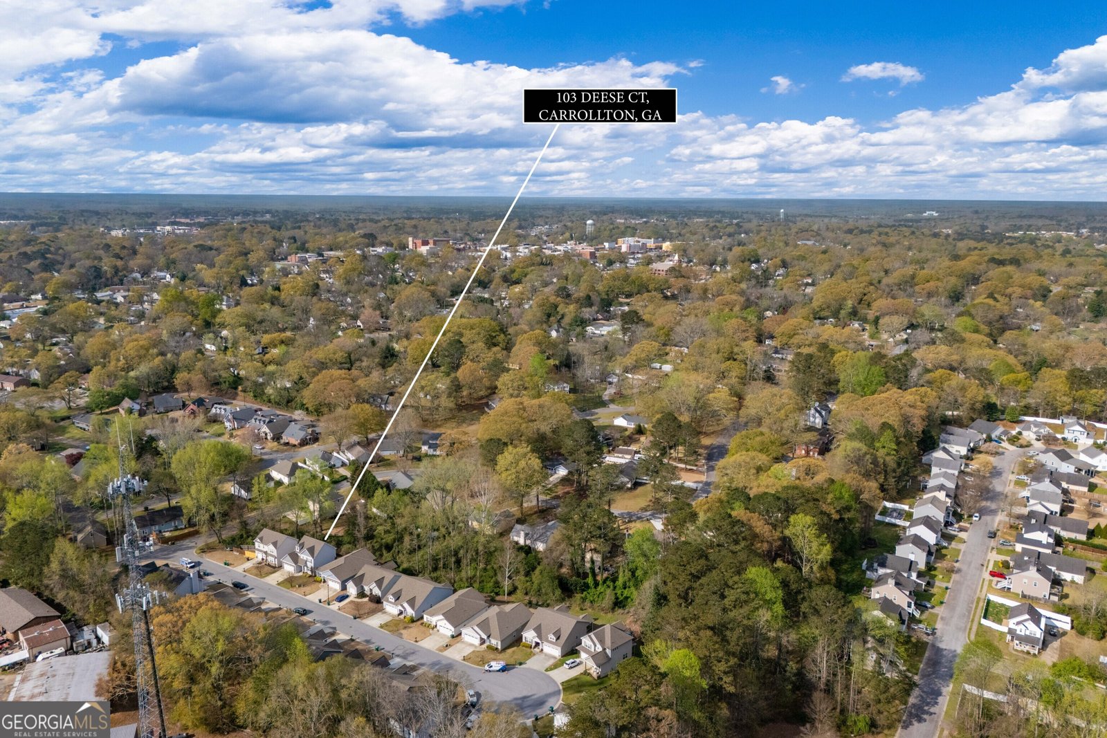 103 Deese Court Carrollton - Photo 34