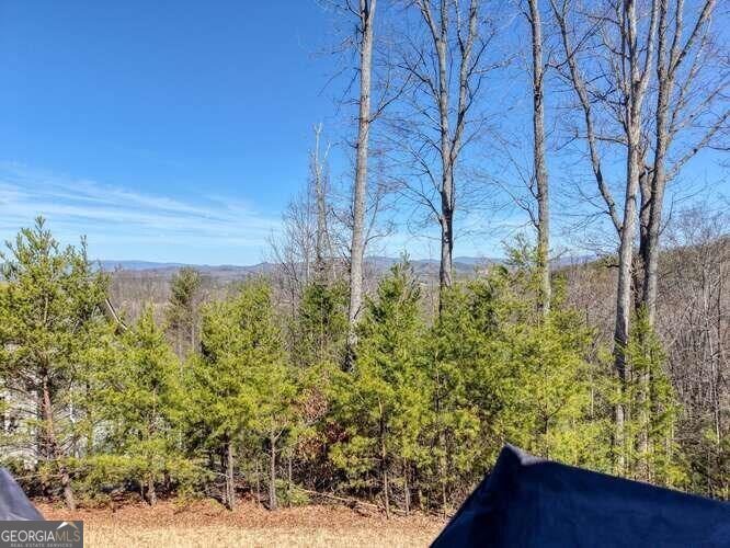 2081 Gallatin Road Young Harris - Photo 31